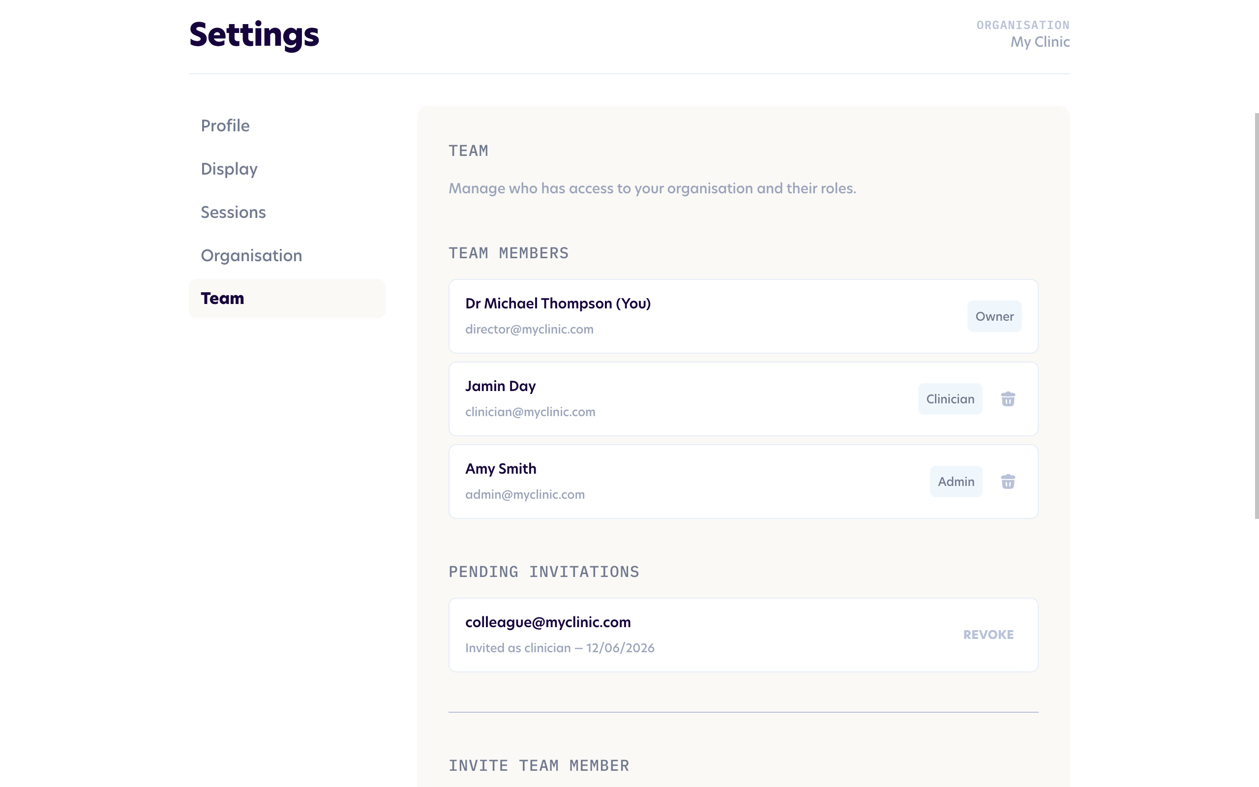 The Team page showing current and invited team members